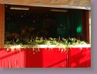 25.Blumenball 05.01.2011 001 * 2592 x 1944 * (2.28MB)